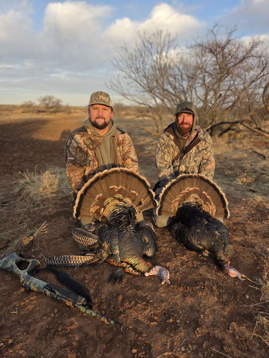 Turkey Hunt