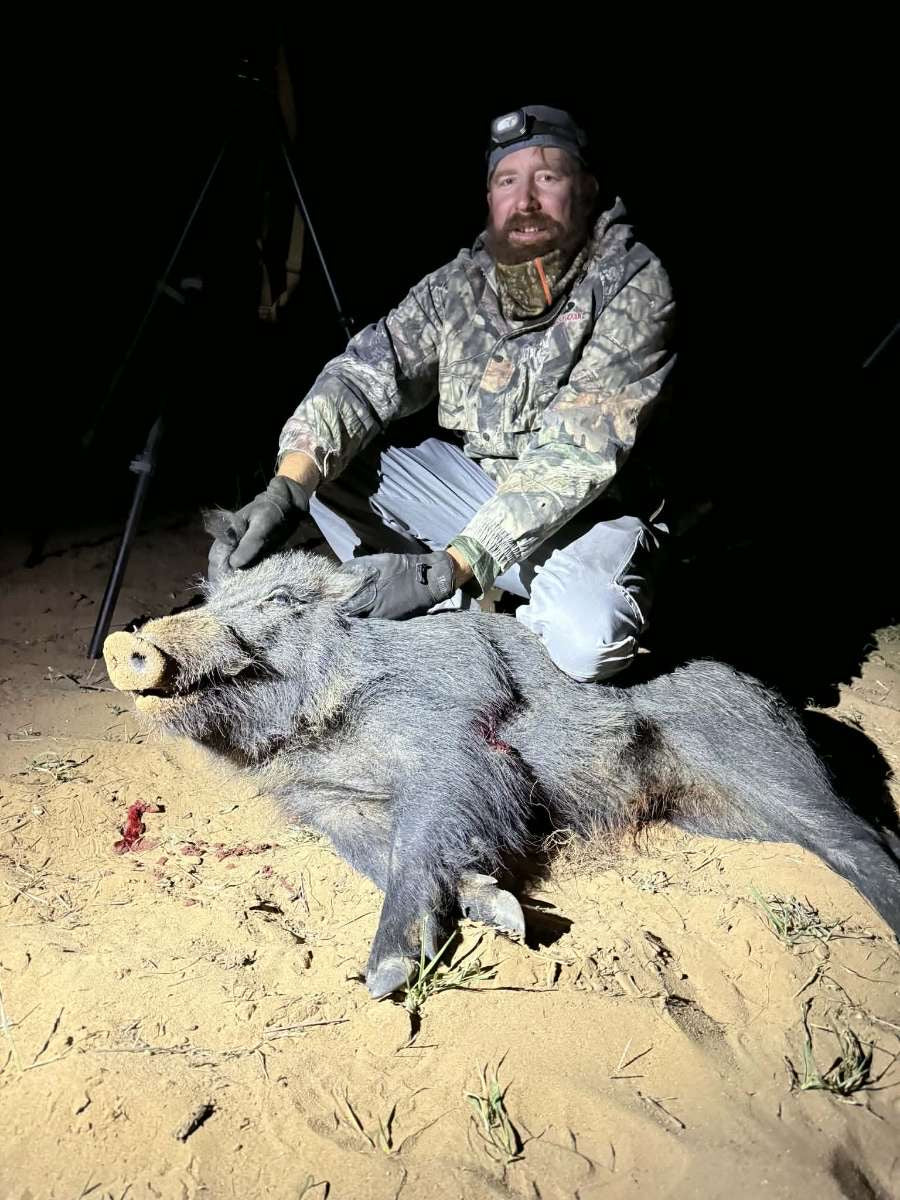 Hog Hunt