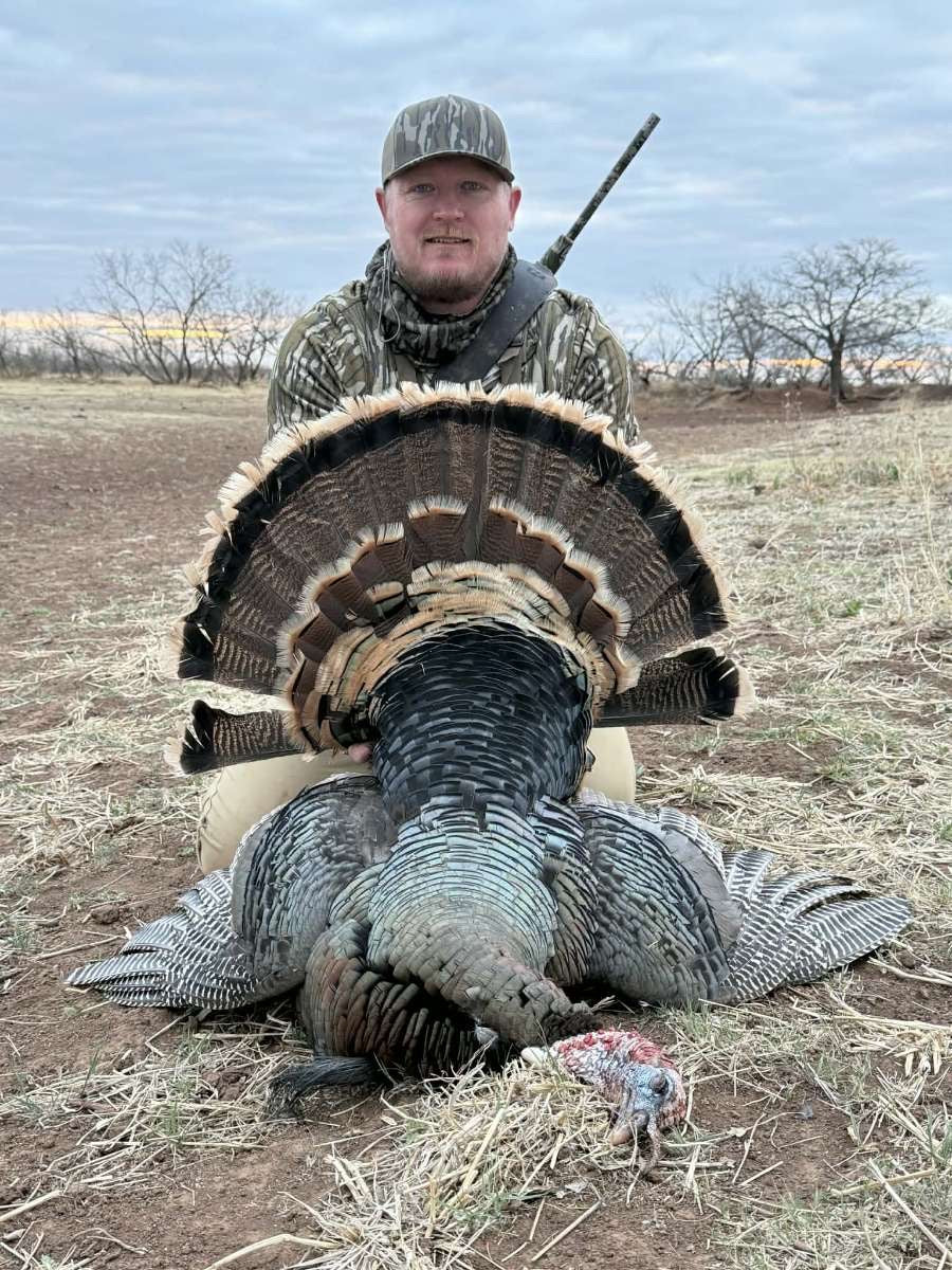 Turkey Hunt