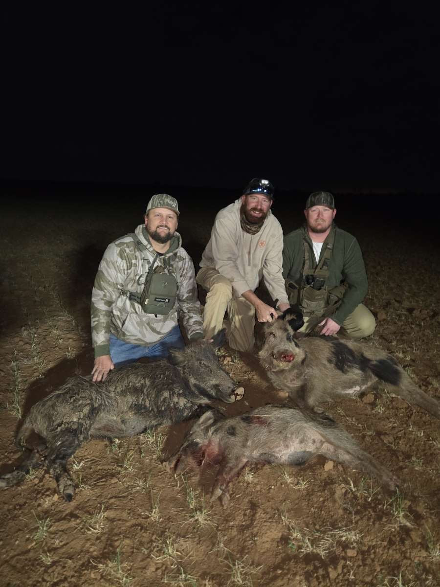 Hog Hunt