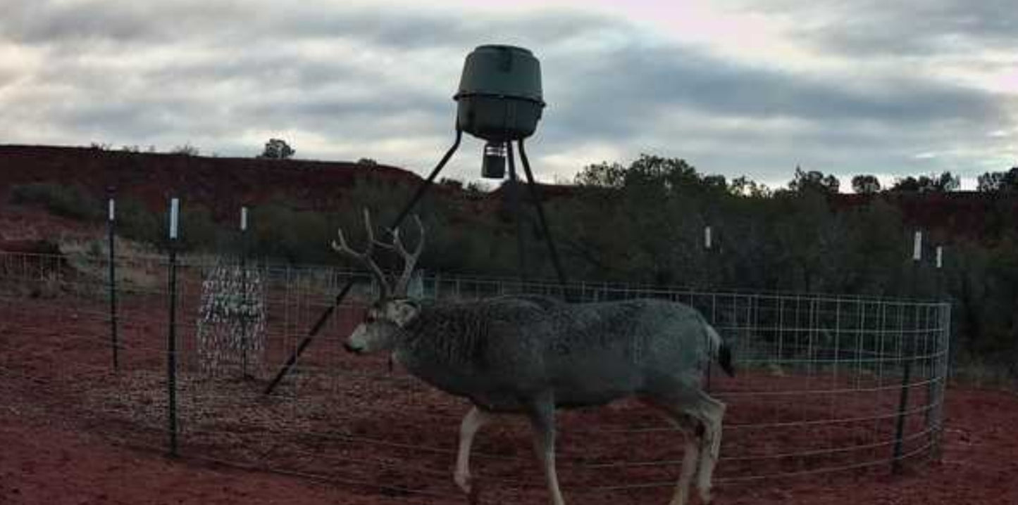 Mule Deer Hunt