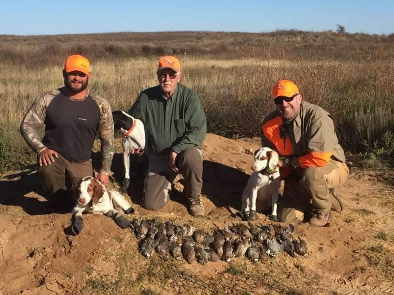 Quail Hunt