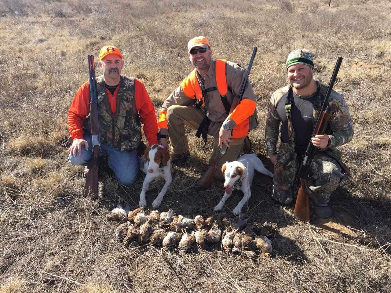 Quail Hunt